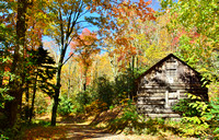 Cabin in fall