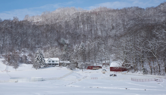 Matinee Snow Farm
