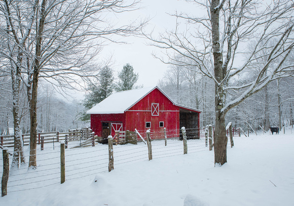 Ricky's Barn in Winter