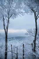 Frozen in Time
