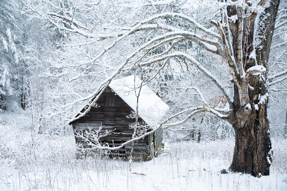 Beech Little Snow Cabin